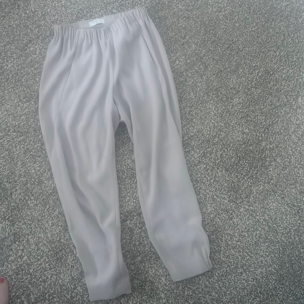 Aritzia pants